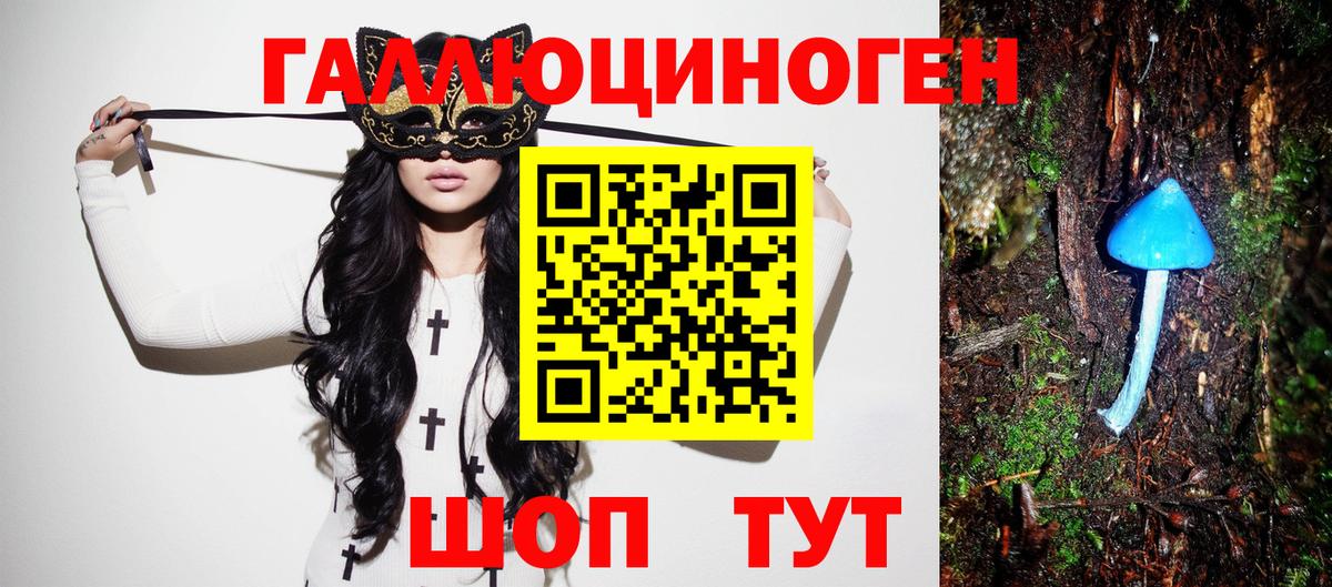 Кашира  Псилоцибиновые грибы мухоморы  Вход с VPN 