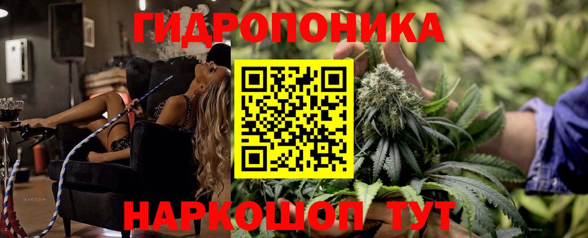 Шишки марихуана марихуана  Канабис планчик  Кашира  Вход с VPN  Конопля план 